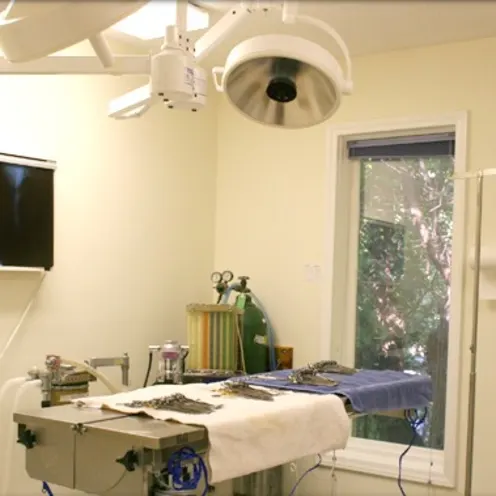 AVA Surgical Suite